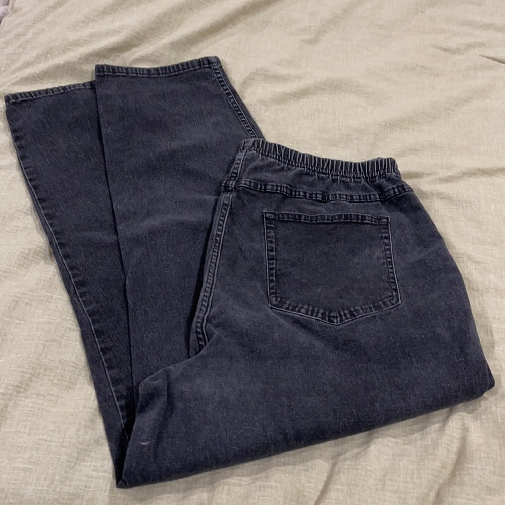 DENIM&CO Stretch Waist Regular Front & back Pocket Jeans 2X distressed Blk denim